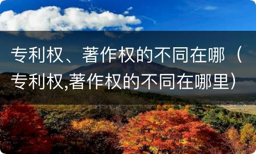 专利权、著作权的不同在哪（专利权,著作权的不同在哪里）