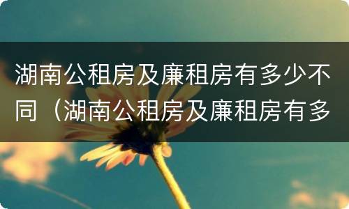 湖南公租房及廉租房有多少不同（湖南公租房及廉租房有多少不同的）