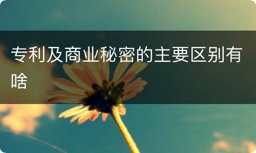 专利及商业秘密的主要区别有啥