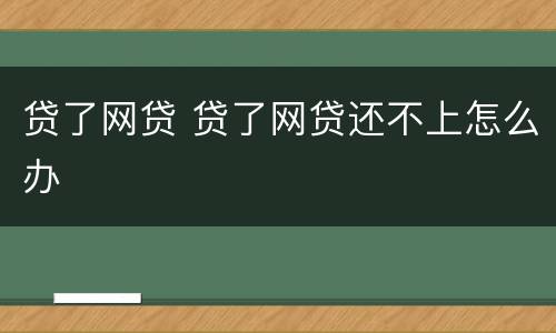 贷了网贷 贷了网贷还不上怎么办