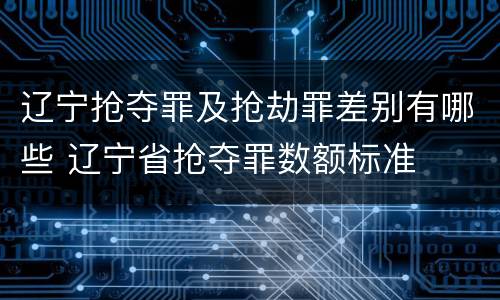 辽宁抢夺罪及抢劫罪差别有哪些 辽宁省抢夺罪数额标准
