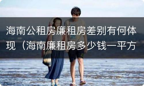 海南公租房廉租房差别有何体现（海南廉租房多少钱一平方）