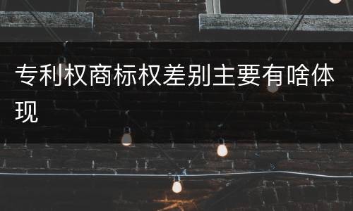 专利权商标权差别主要有啥体现