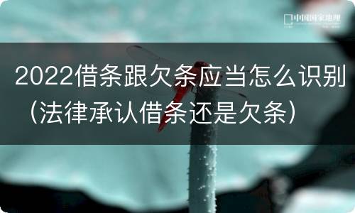2022借条跟欠条应当怎么识别（法律承认借条还是欠条）