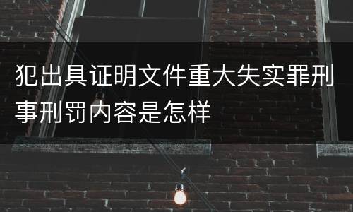 犯出具证明文件重大失实罪刑事刑罚内容是怎样