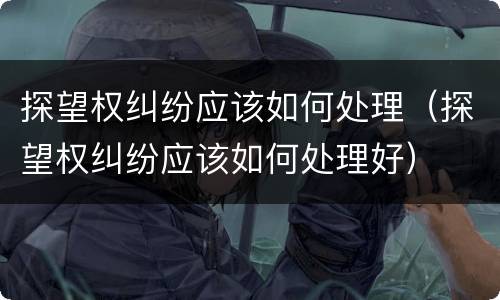 探望权纠纷应该如何处理（探望权纠纷应该如何处理好）