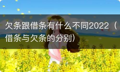 欠条跟借条有什么不同2022（借条与欠条的分别）