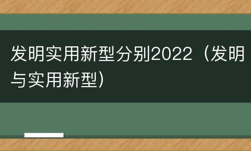 发明实用新型分别2022（发明与实用新型）
