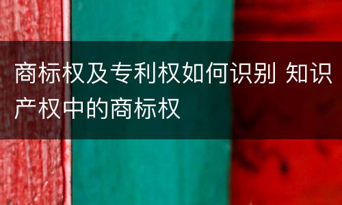 商标权及专利权如何识别 知识产权中的商标权