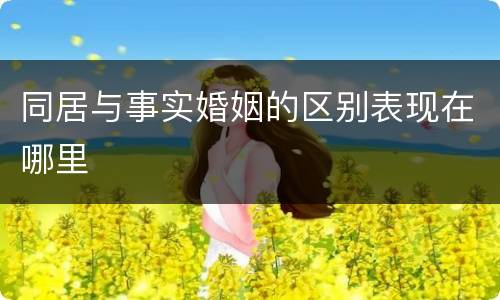 同居与事实婚姻的区别表现在哪里