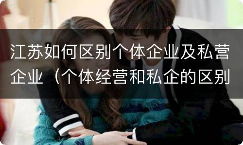 江苏如何区别个体企业及私营企业（个体经营和私企的区别）