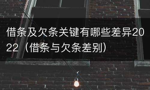 借条及欠条关键有哪些差异2022（借条与欠条差别）