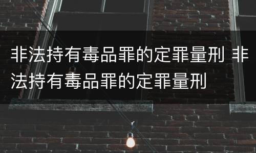 非法持有毒品罪的定罪量刑 非法持有毒品罪的定罪量刑