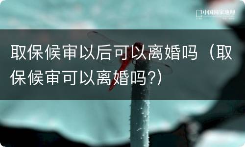 取保候审以后可以离婚吗（取保候审可以离婚吗?）