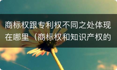 商标权跟专利权不同之处体现在哪里（商标权和知识产权的区别）