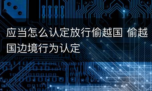 应当怎么认定放行偷越国 偷越国边境行为认定