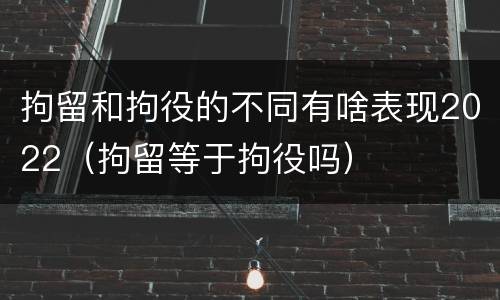 拘留和拘役的不同有啥表现2022（拘留等于拘役吗）