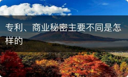 专利、商业秘密主要不同是怎样的