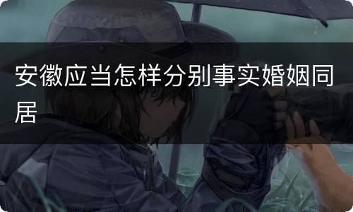 安徽应当怎样分别事实婚姻同居
