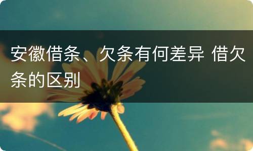 安徽借条、欠条有何差异 借欠条的区别