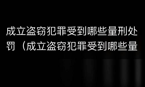 成立盗窃犯罪受到哪些量刑处罚（成立盗窃犯罪受到哪些量刑处罚）