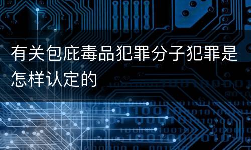 有关包庇毒品犯罪分子犯罪是怎样认定的