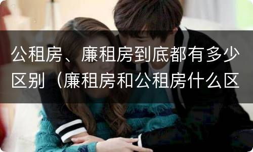 公租房、廉租房到底都有多少区别（廉租房和公租房什么区别）