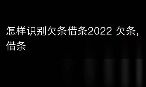 怎样识别欠条借条2022 欠条,借条