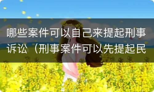 哪些案件可以自己来提起刑事诉讼（刑事案件可以先提起民事诉讼吗）