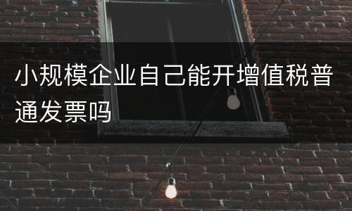 小规模企业自己能开增值税普通发票吗
