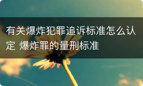 有关爆炸犯罪追诉标准怎么认定 爆炸罪的量刑标准