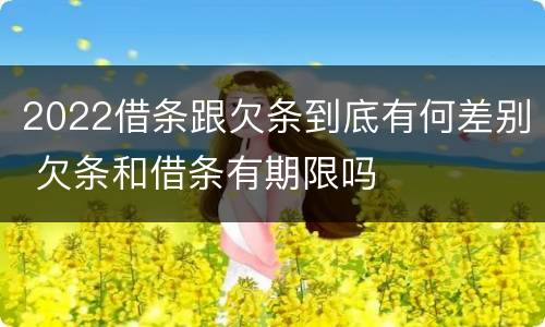 2022借条跟欠条到底有何差别 欠条和借条有期限吗