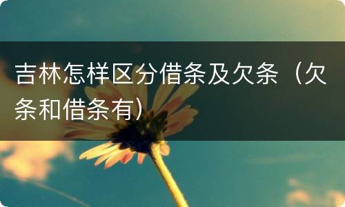 吉林怎样区分借条及欠条（欠条和借条有）