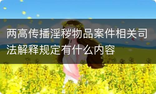 两高传播淫秽物品案件相关司法解释规定有什么内容