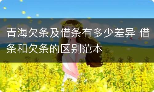 青海欠条及借条有多少差异 借条和欠条的区别范本