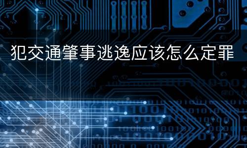 犯交通肇事逃逸应该怎么定罪