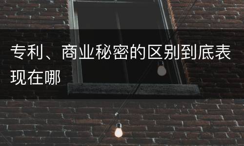 专利、商业秘密的区别到底表现在哪