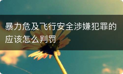 暴力危及飞行安全涉嫌犯罪的应该怎么判罚