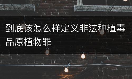 到底该怎么样定义非法种植毒品原植物罪
