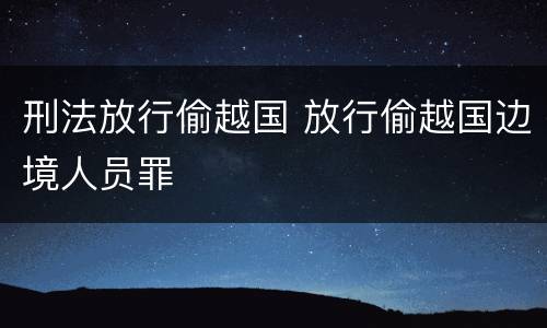 刑法放行偷越国 放行偷越国边境人员罪