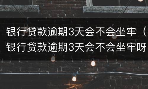 银行贷款逾期3天会不会坐牢（银行贷款逾期3天会不会坐牢呀）
