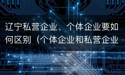 辽宁私营企业、个体企业要如何区别（个体企业和私营企业的区别）