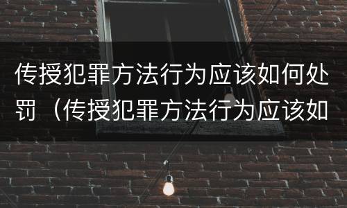 传授犯罪方法行为应该如何处罚（传授犯罪方法行为应该如何处罚他）