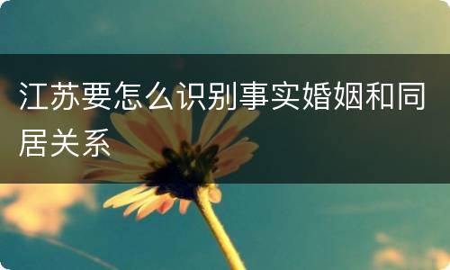 江苏要怎么识别事实婚姻和同居关系