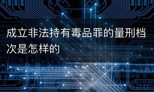 成立非法持有毒品罪的量刑档次是怎样的