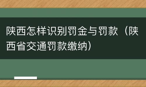 陕西怎样识别罚金与罚款（陕西省交通罚款缴纳）