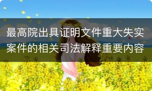 最高院出具证明文件重大失实案件的相关司法解释重要内容