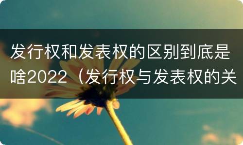 发行权和发表权的区别到底是啥2022（发行权与发表权的关系）