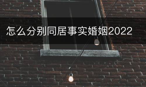 怎么分别同居事实婚姻2022