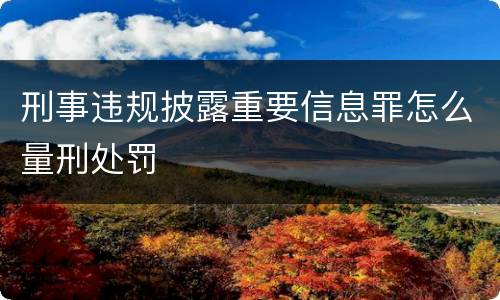 刑事违规披露重要信息罪怎么量刑处罚